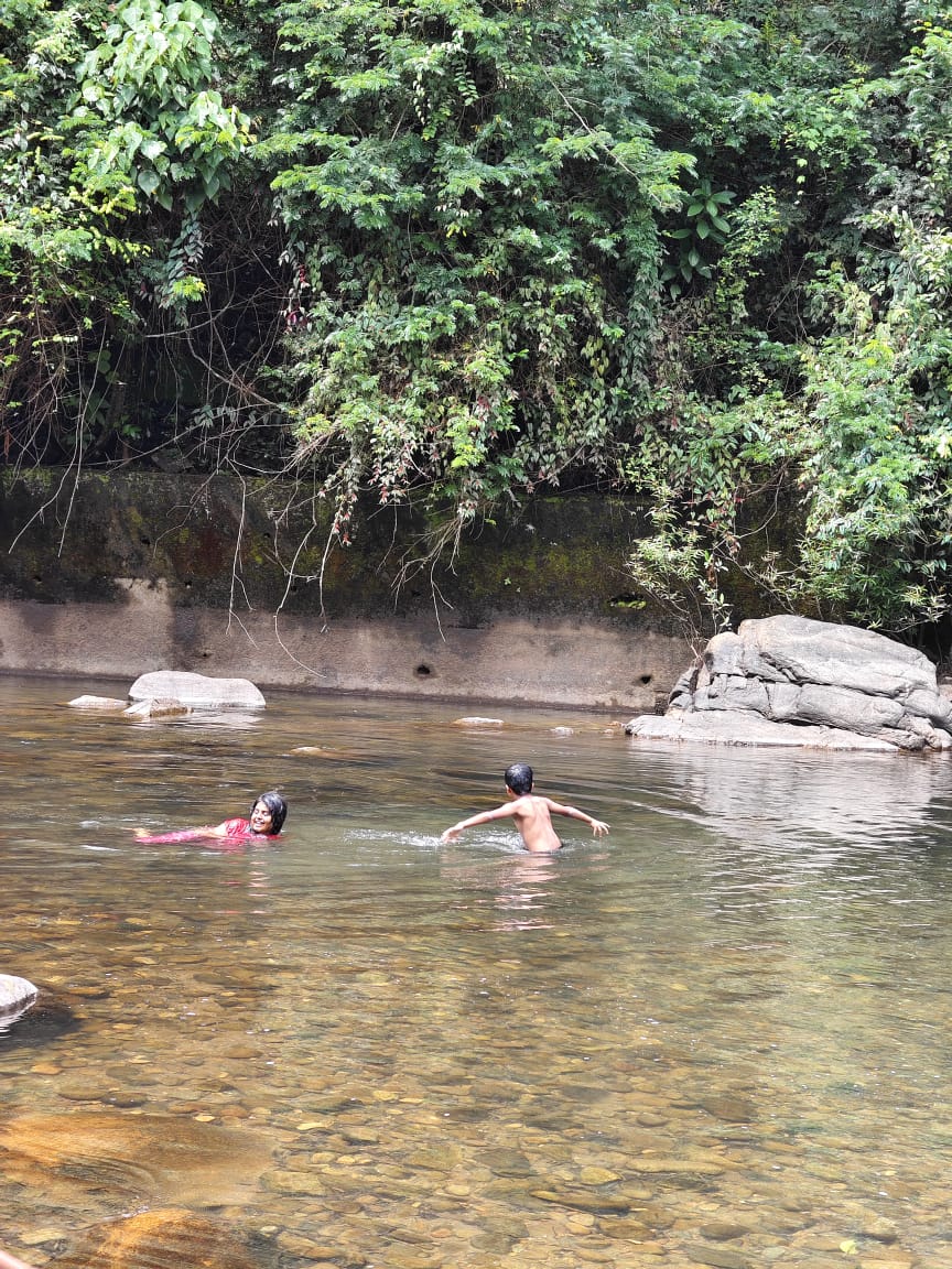 My swimming